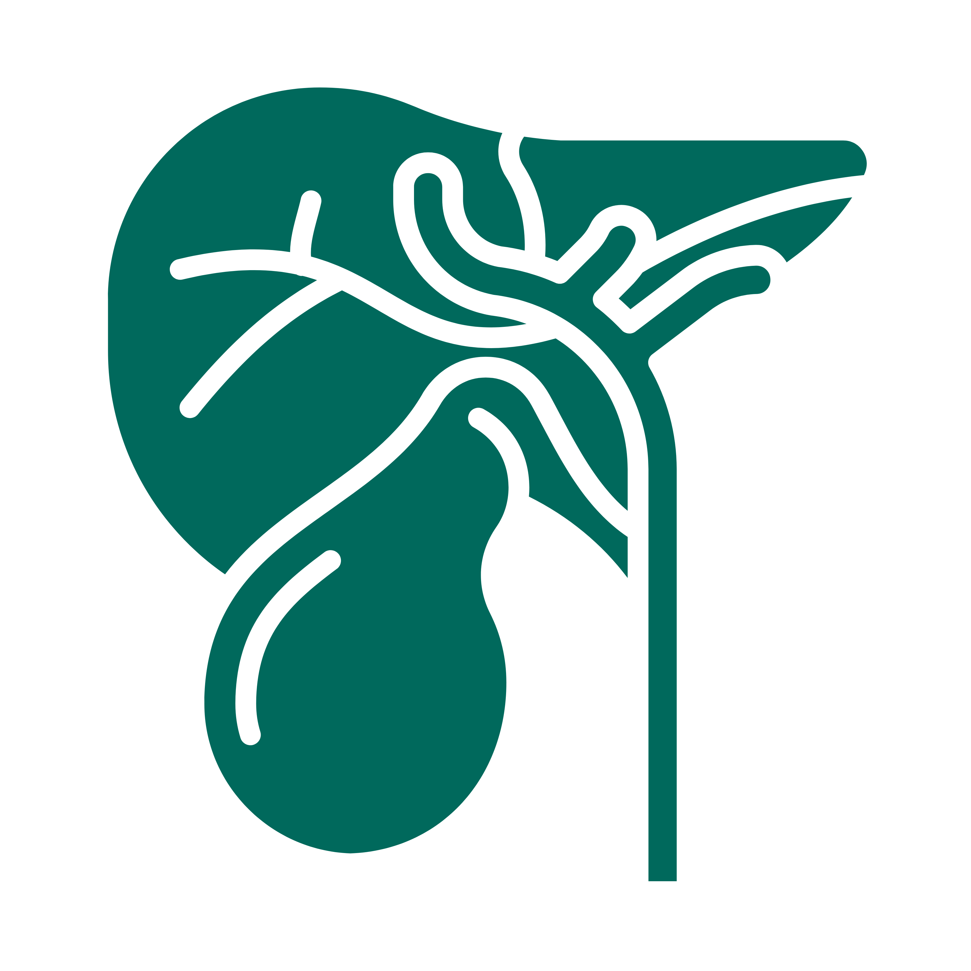 Liver Transplant